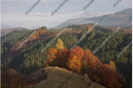 Утро в Родопа