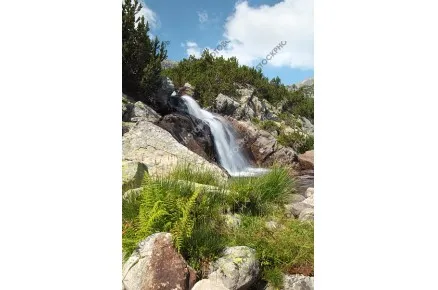 Пейзаж от Пирин планина. Водопад