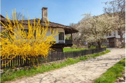 Пролет в село Боженци. Възрожденски къщи.