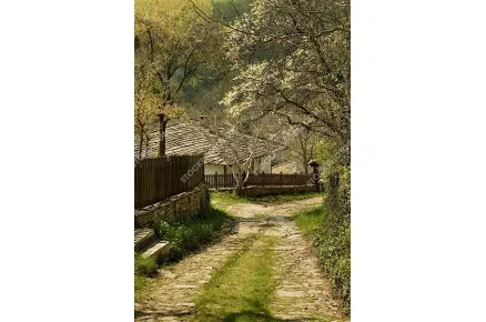 Пролет в село Боженци. Възрожденски къщи.