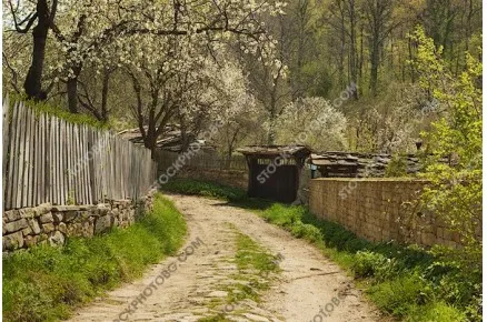 Пролет в село Боженци. Възрожденски къщи.