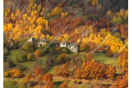 Село Дядовци в Родопите. Стари каменни къщи