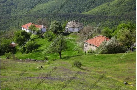 Село в Родопите