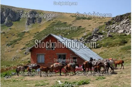 Рила