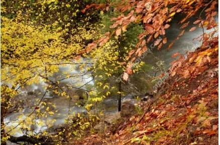 Водопад в Каньона на водопадите край Смолян. Есенен пейзаж