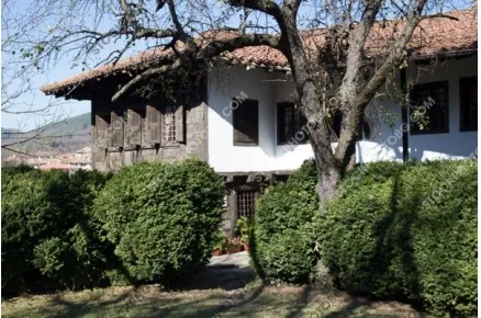 Стара къща в Елена