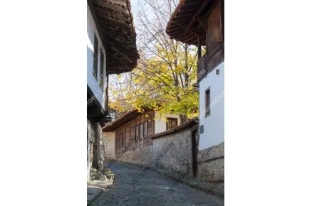 Стара къща в Елена