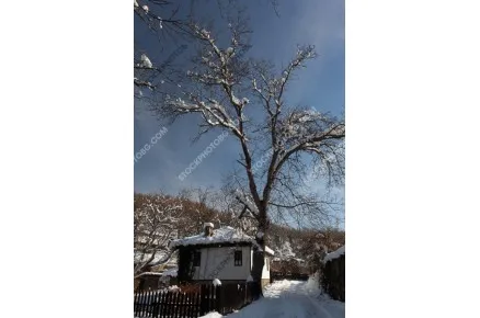 Село Боженци през зимата