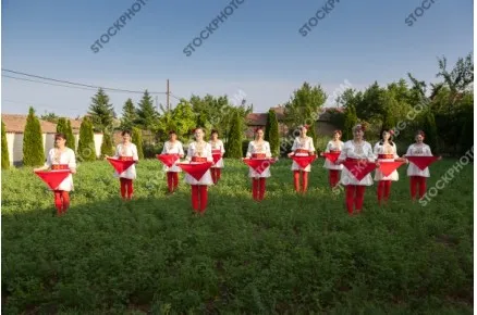 Моми от поликраище в народни носии