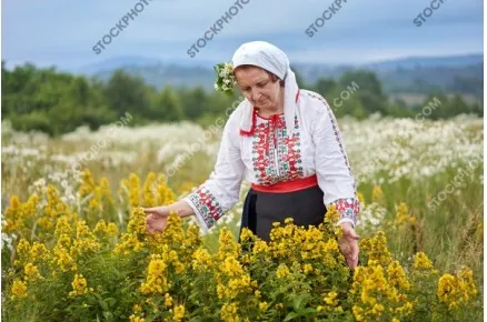 Еньовден. Български народни традиции и обичаи