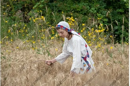Жътва в Родопите. Жътвари в народни носии
