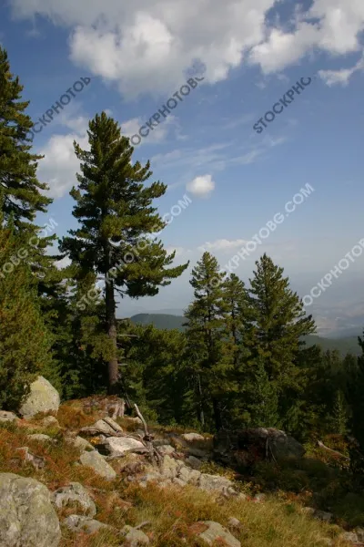 Пирин