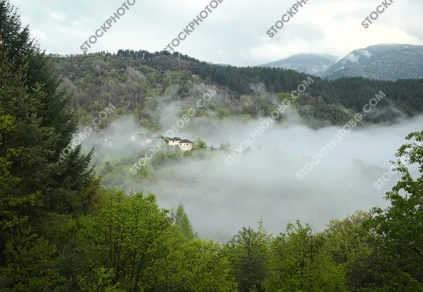 село Дядовци в Родопите