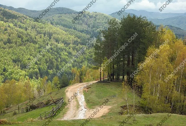 Родопски пейзаж