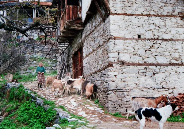 Утро в с.Делчево