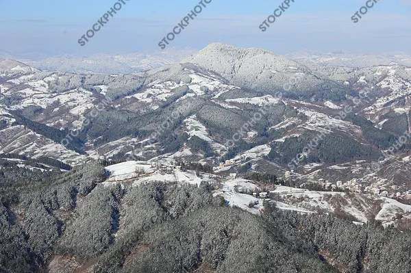 Зима  в гората на Родопите