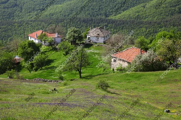 Село в Родопите
