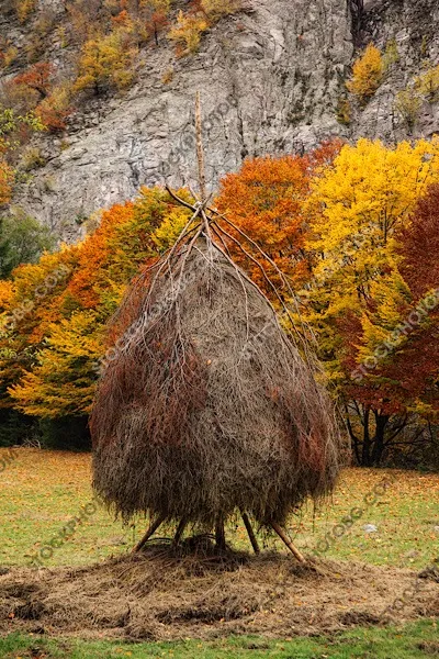 Купа сено