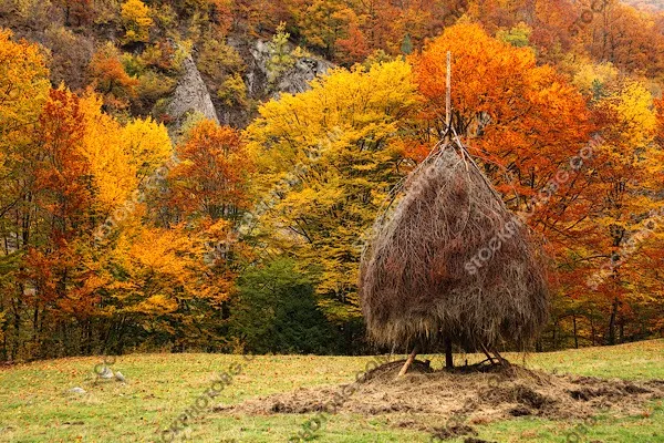 Купа сено
