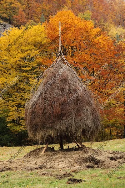 Купа сено