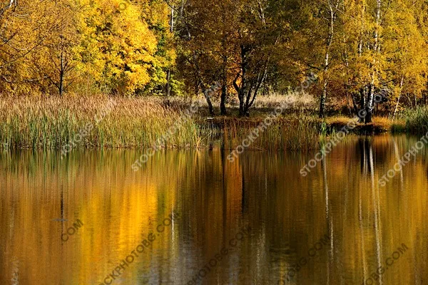 Есенен пейзаж. Есен в Родопите.