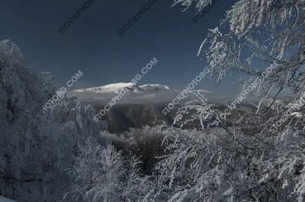 Снимка на зима в Балкана