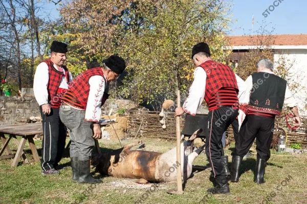 Празник на Еленския бут в град Елена