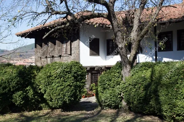 Стара къща в Елена