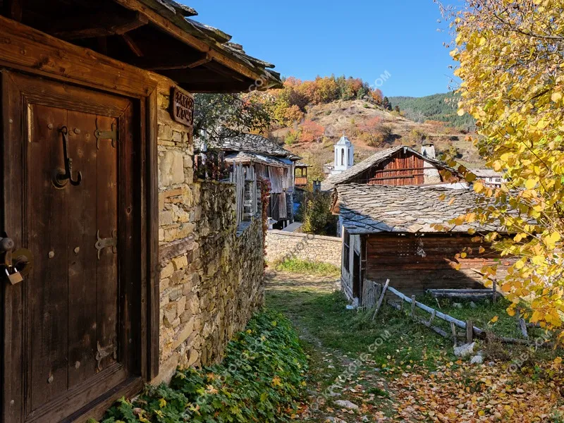 Долен. Есен в родопското село Долен. Стари каменни къщи